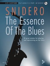 The Essence Of The Blues Alto Sax Bk/cd