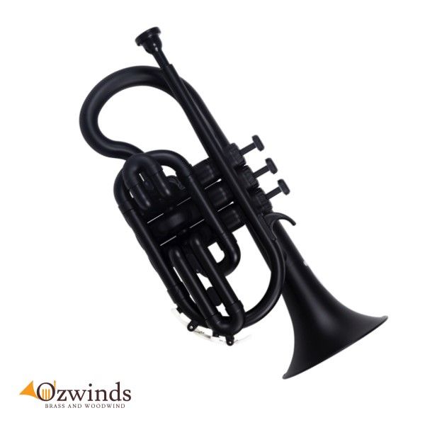 Plastic cornet sale