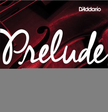 D'Addario Prelude Viola Single D String, Extra Short Scale, Medium Tension