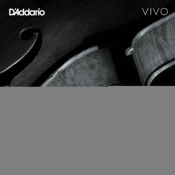 D'Addario Kaplan Vivo Viola D String, Long Scale, Heavy Tension