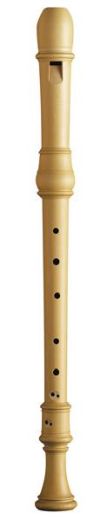 Mollenhauer Denner Tenor C', zapatero boxwood, without key