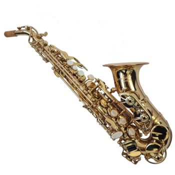 Schagerl Superior Series Curved Soprano Sax (Lacquered Finish)
