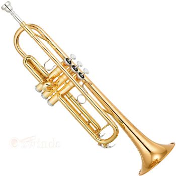 Yamaha YTR-4335GII Intermediate Trumpet.