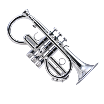 SCHILKE Eb SOPRANO CORNET WITH BERYLLIUM BELL